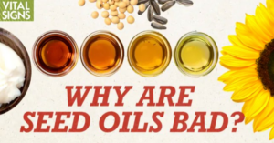 Why Are Seed Oils Bad? - Interview on Vital Signs.