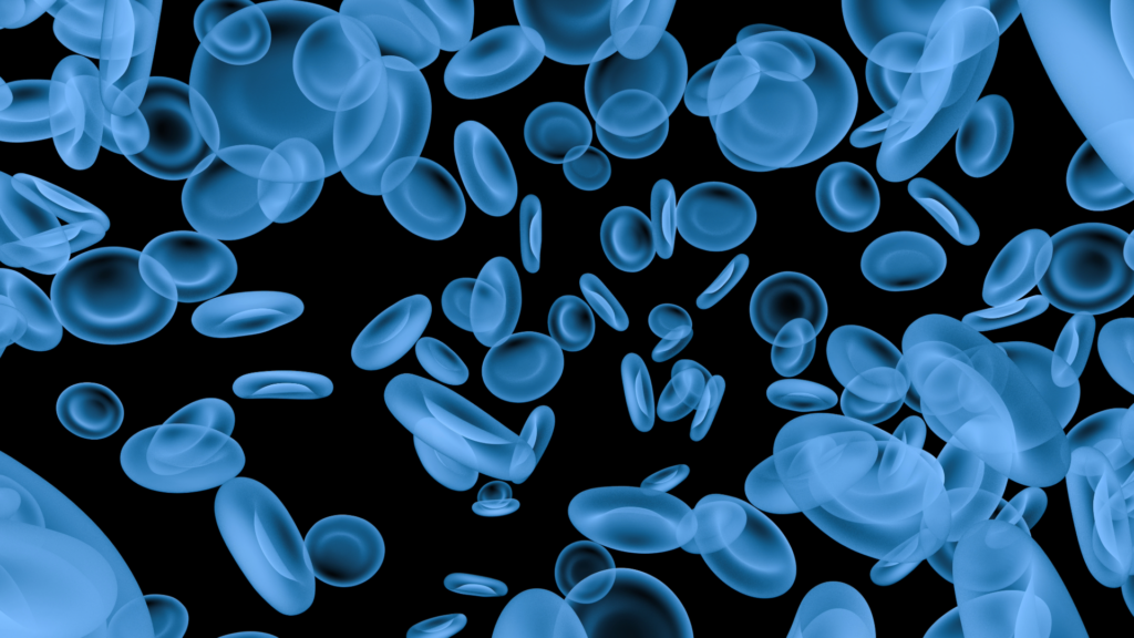 Red blood cells blue background