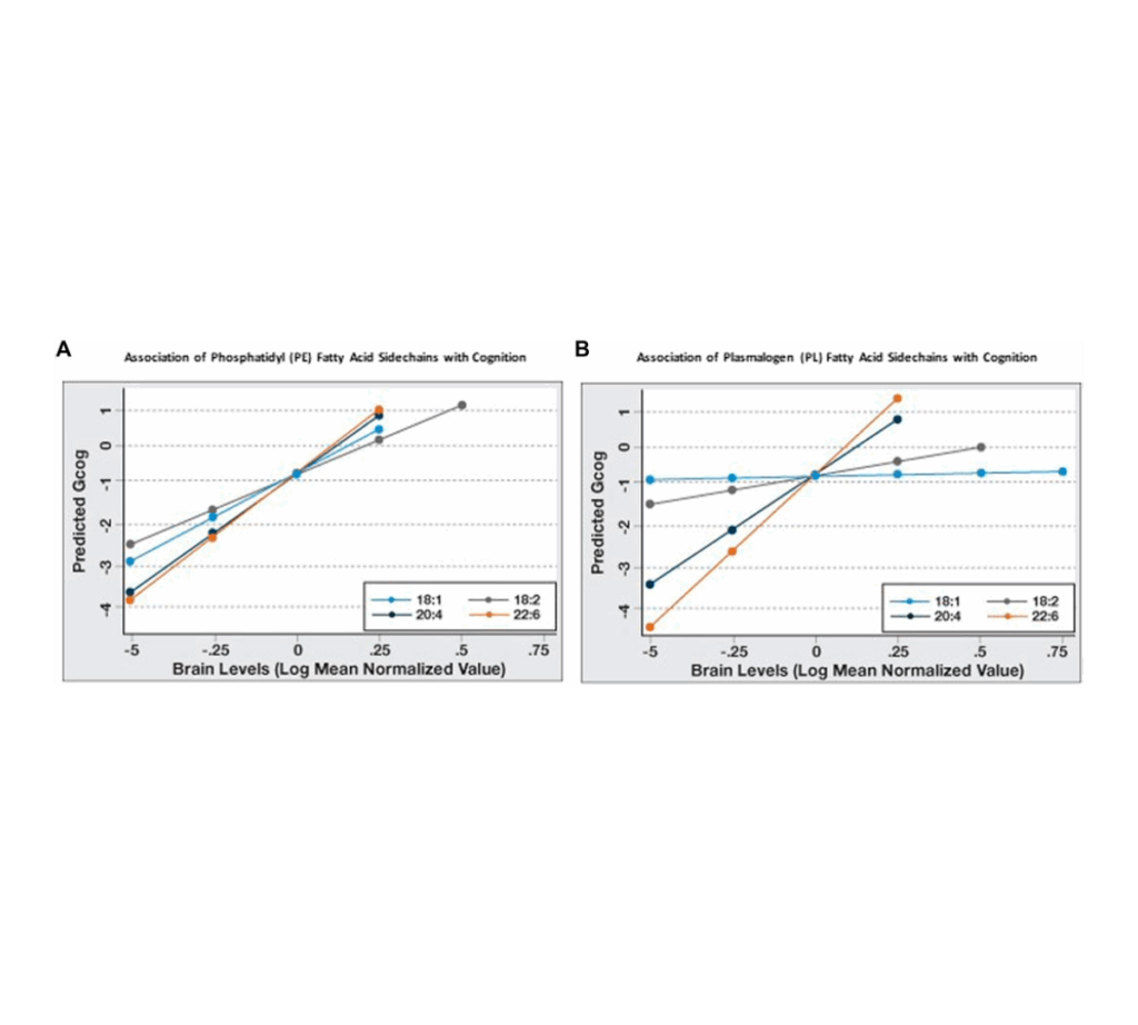 Brain plasmalogen levels table
