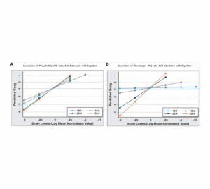 Brain plasmalogen levels table