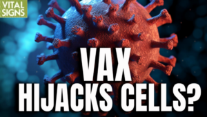 Vax Hijacks Cells?_Vital Signs Interview